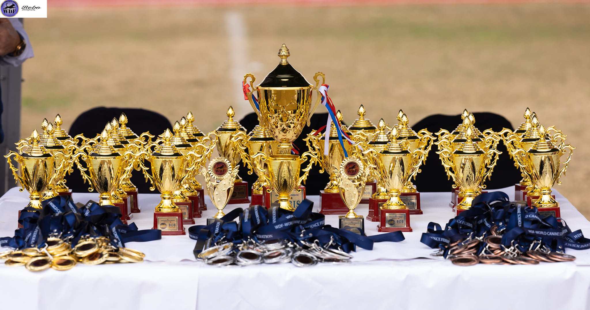 International Dog Show in Egypt