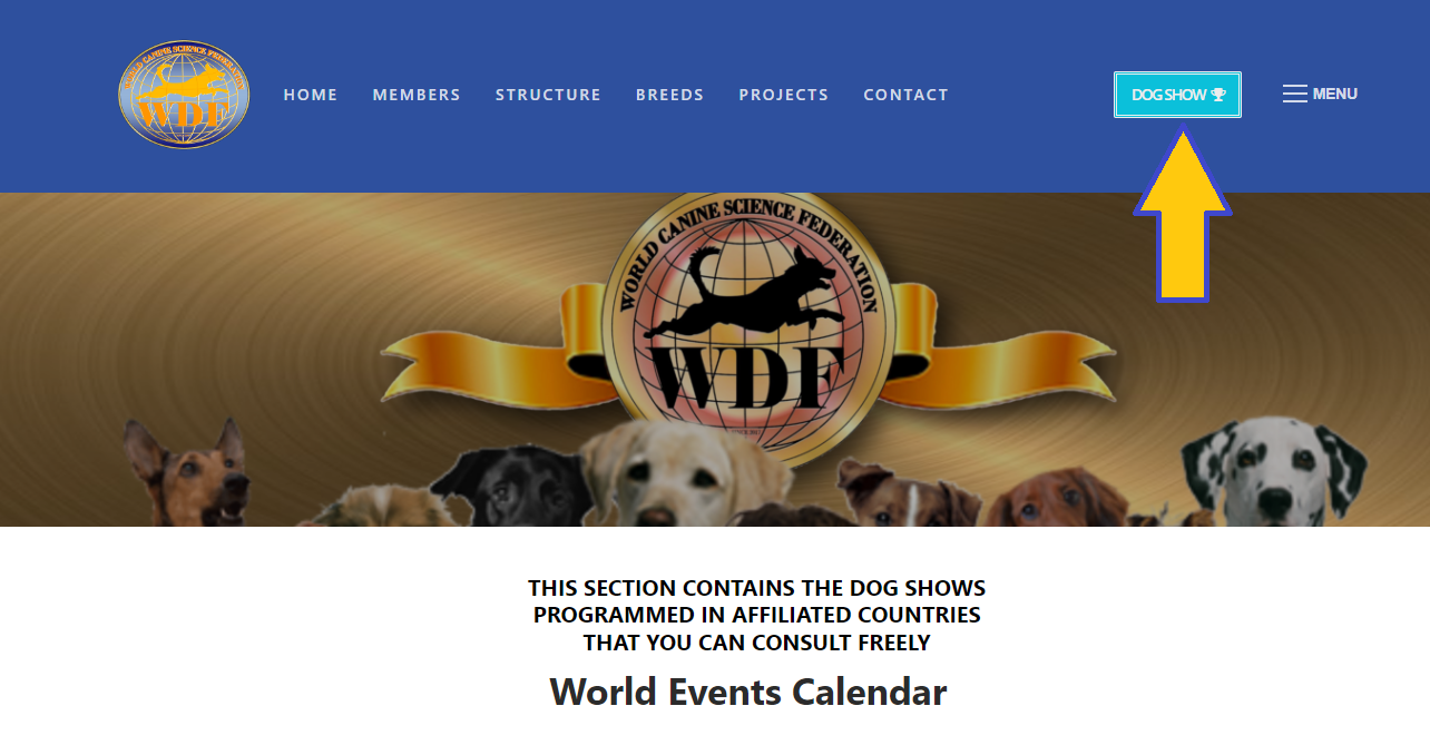 new 2024 events calendar