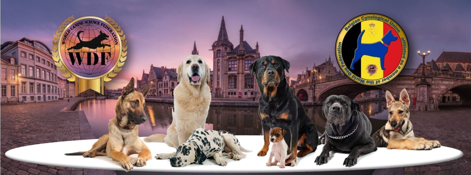 Welcome to the representatives of WDF Belgium