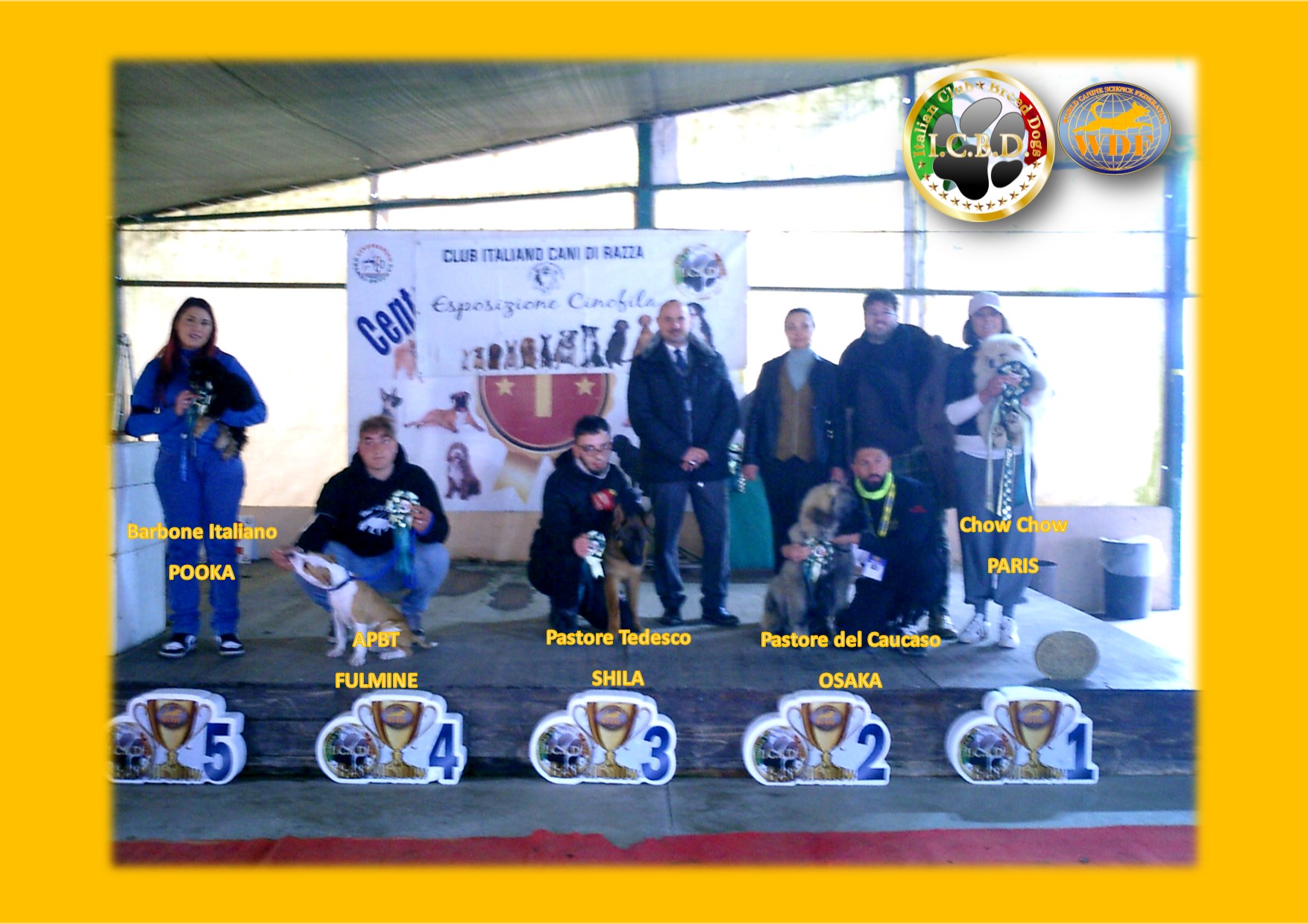 Casaluce Dog Show March 2024