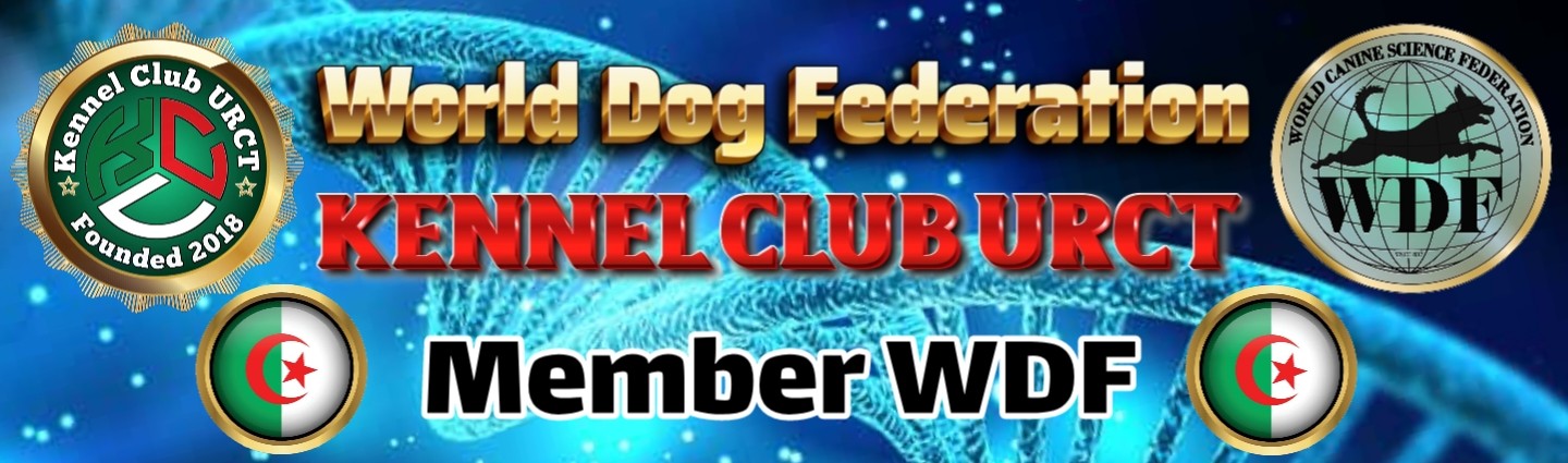 Festival Canin Algerian Cyborg Cup 13 Février 2025