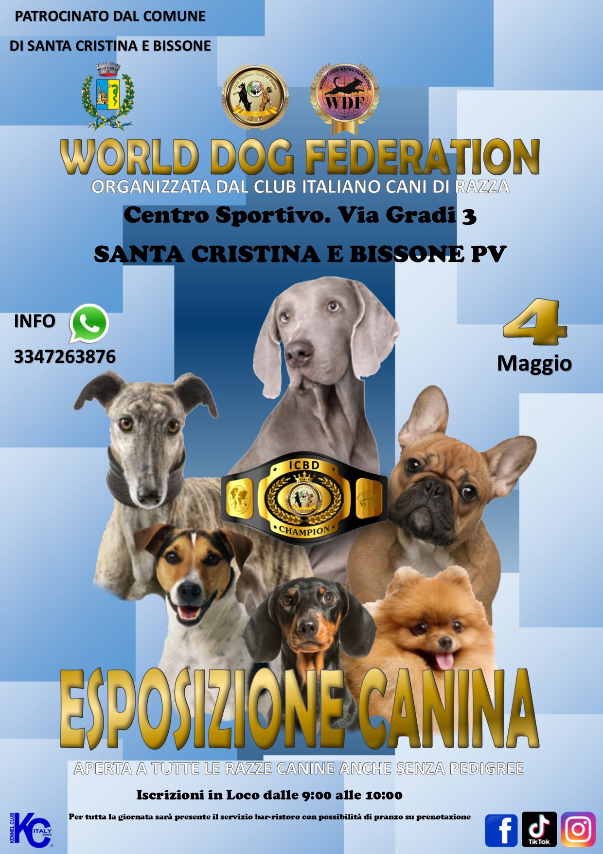 Dog Show 4 May