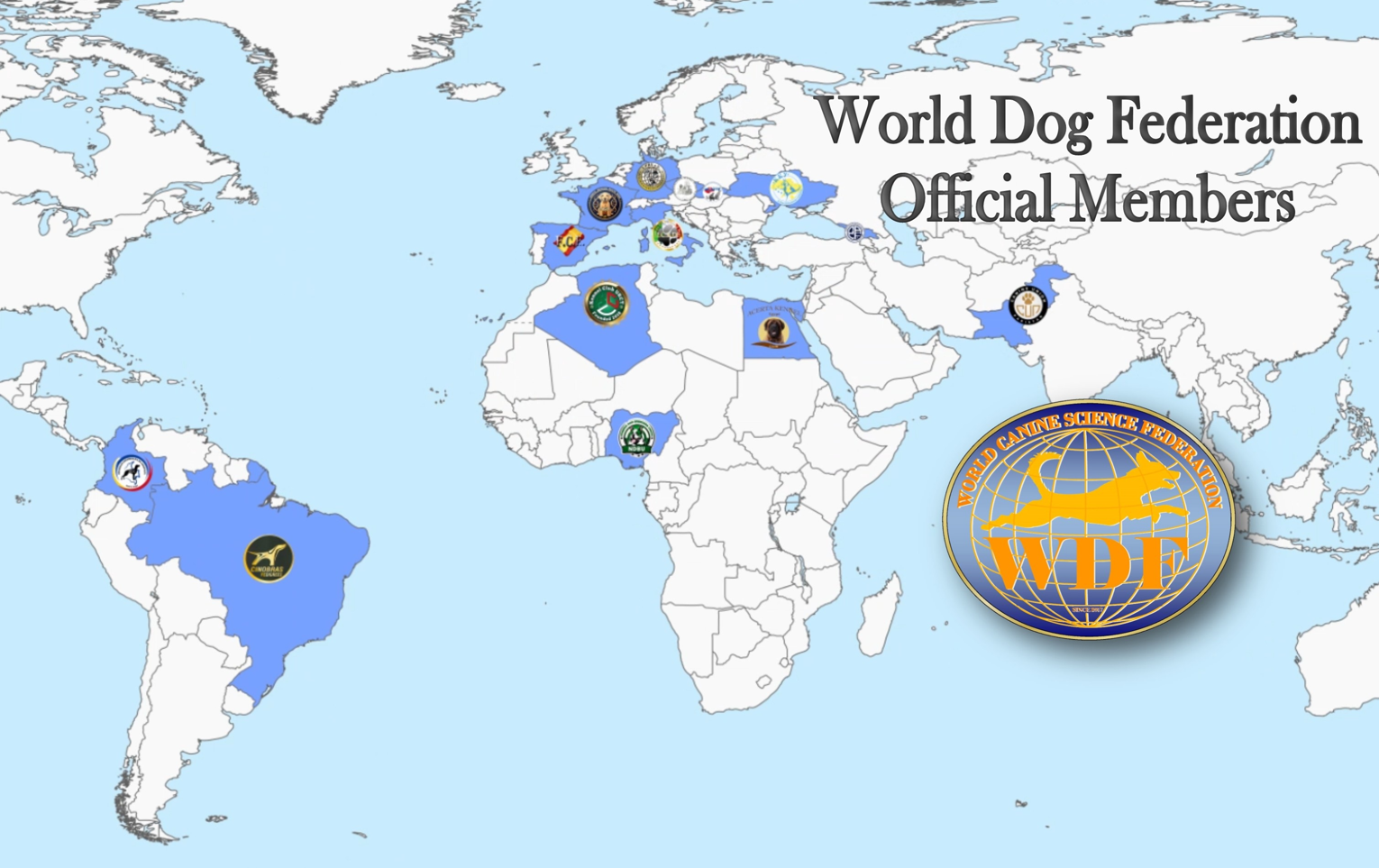 Message from the WDF President
