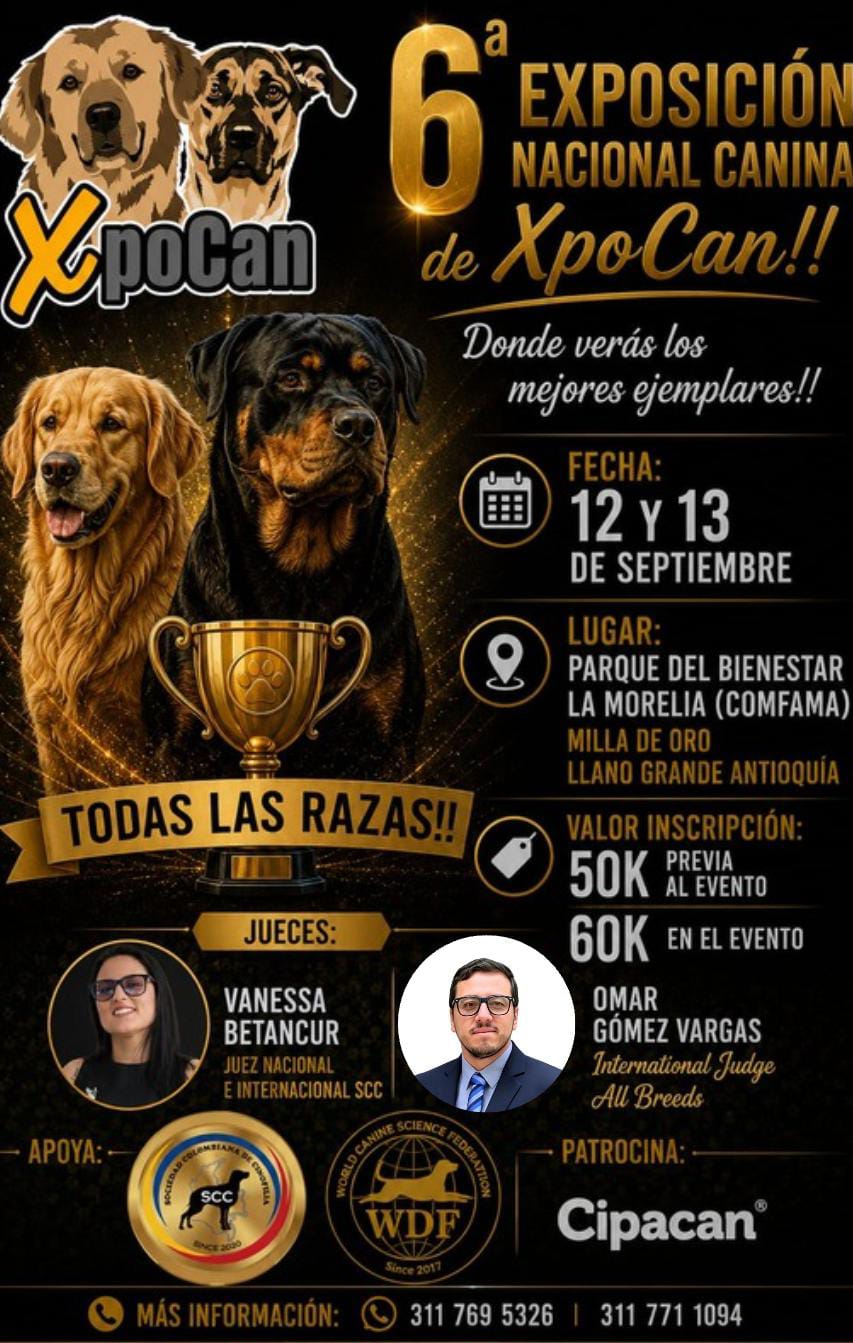Poster for International Dog Show Gold